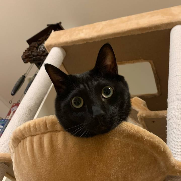 8af6d711 be43 4f65 852b 3031b2f3055d 1606316059670