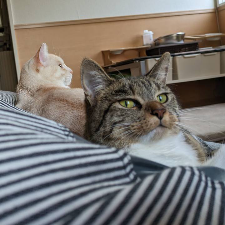 8af6fb26 f939 4ede 8726 a3ec76a307eb 1690159716047