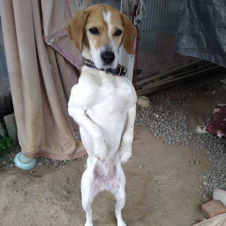 8af7155a 8fc2 4d03 a5b9 7abf52148248 1660744252372