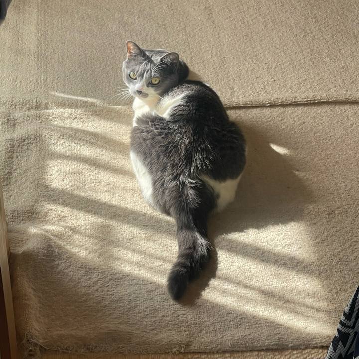 8af71968 a24e 4ec0 9262 2f3c2482814d 1707372114827