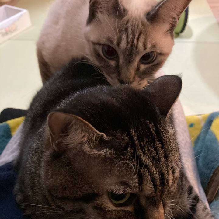 8af72050 ffad 41cb 8ee2 71d3dc1ca7c6 1605188197119