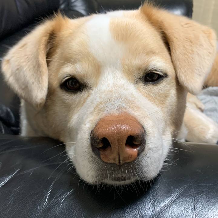 8af73f7f 8496 45c0 b9a8 6d958ca042cf 1583848498642