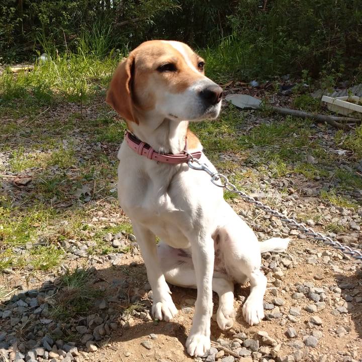 8af7558b c4db 4153 9eae 782065673163 1586584123773