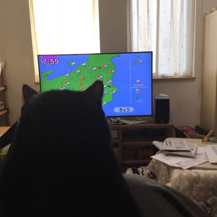 8af7929c 43e8 4968 91f9 0eae6ccf1a3e 1518131346442