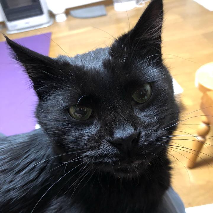 8af7a6bd 90f3 4b9e a660 80eae7d29307 1607435580701