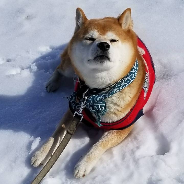 8af80e08 81b9 413d 82fb 4ed78ae377b4 1519103473307