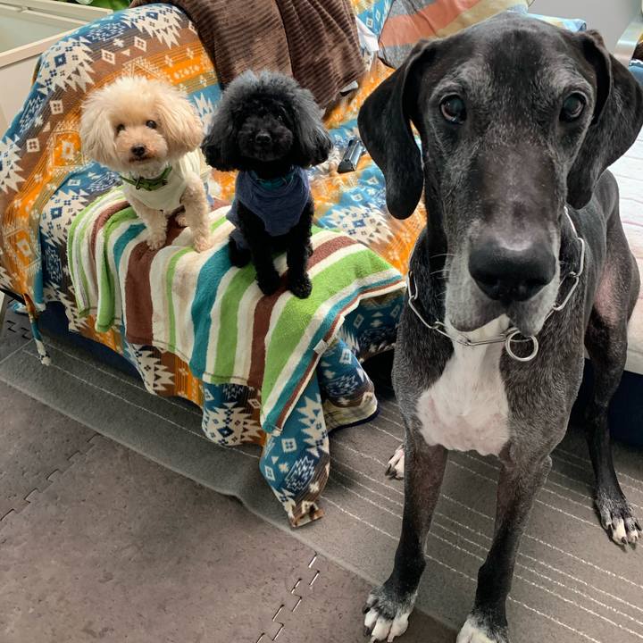 8af869e6 7261 4095 b807 214b21de1d40 1603752631069