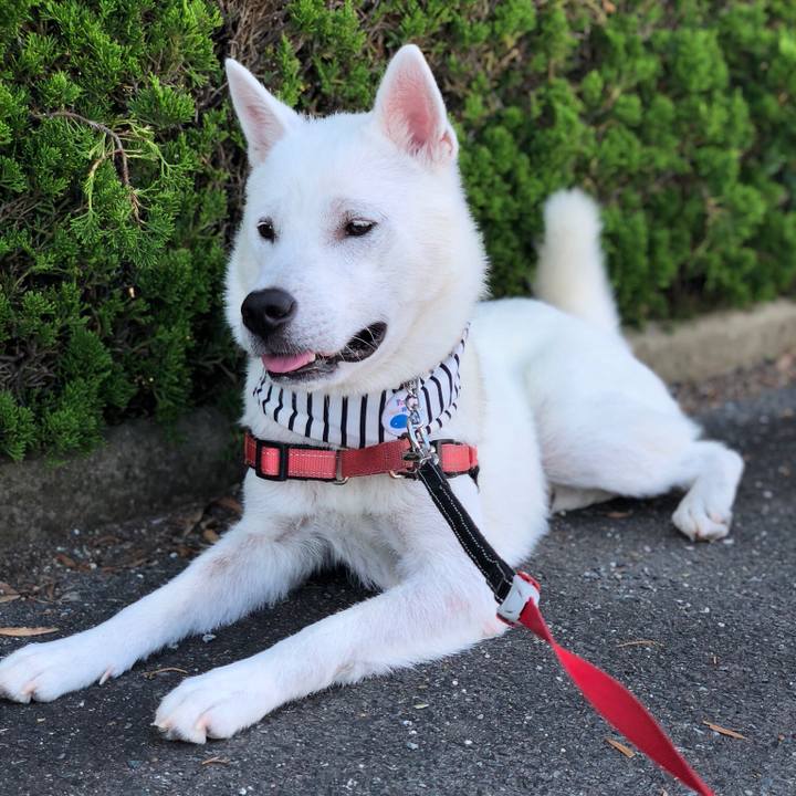 8af88f7c 7e3c 498d 935b 6110711d5842 1531439640834