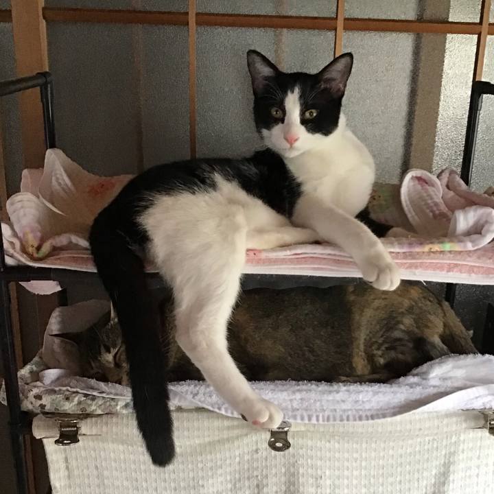 8af8cc82 ff66 446f 948e d7bdbe4d2193 1634366728826