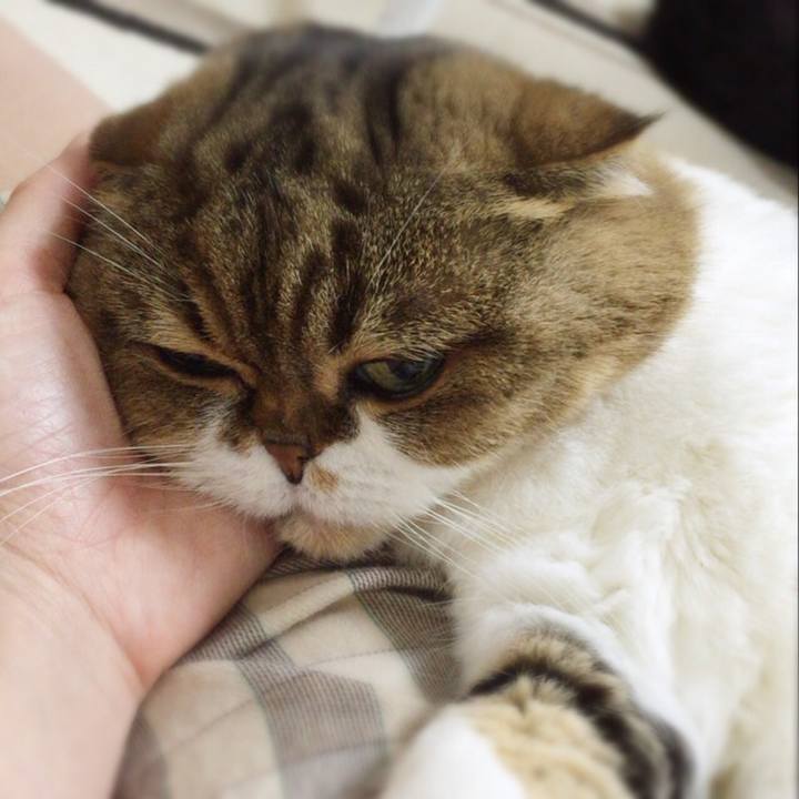 8af8f4e0 81d6 4d71 91ba 05f032b1658e 1510391850917