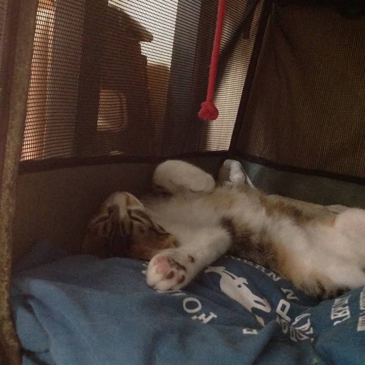 8af901d5 410c 4bd1 9caa 7413055f839f 1628727935915