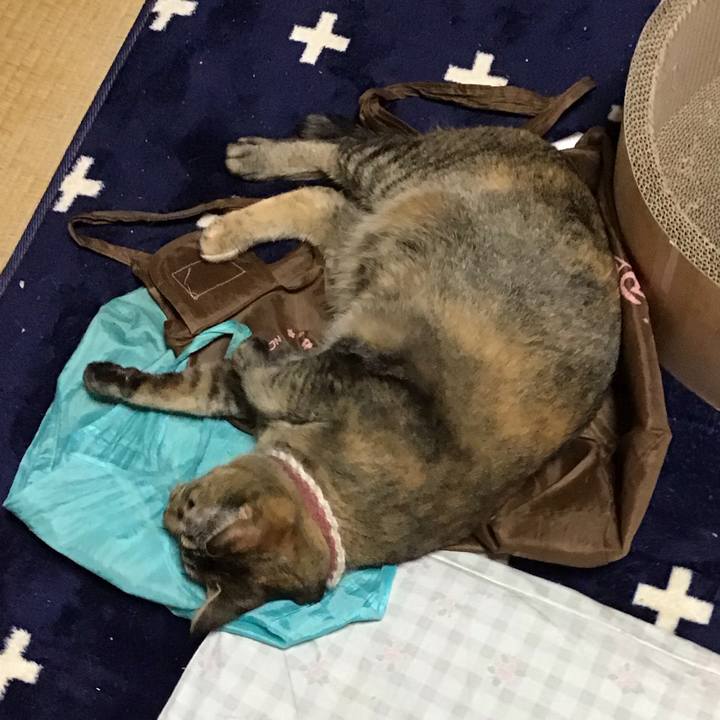 8af92a48 1963 4b5c 8ded b459234e9947 1714202463078