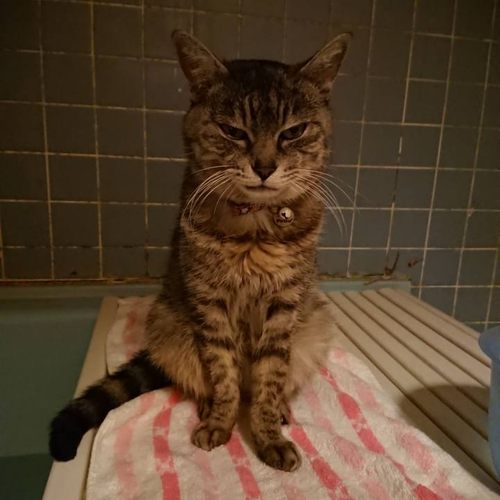 8af94ee6 ee93 4ed9 9fb9 c3d0131788f4 1583835736071