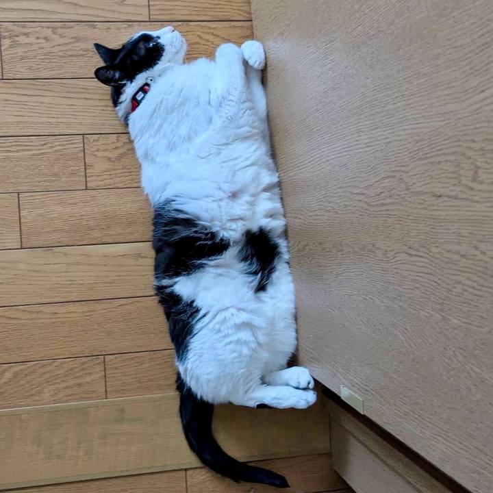 8af9968c 6b6a 43e5 af3f 99ba4283dd67 1722469683089