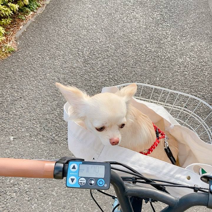 8af996d1 77a1 4d0b 8d8c 650c45e77989 1615285631402