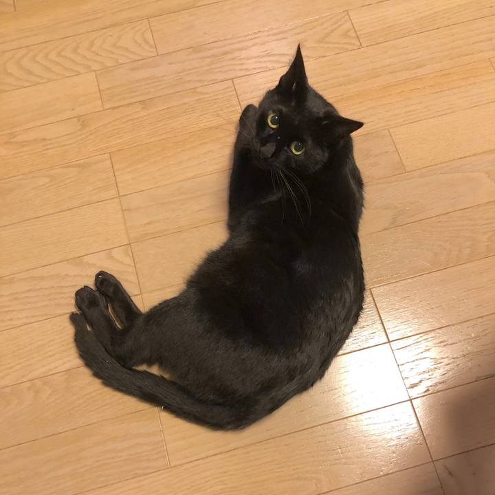 8af9b89a 69a0 4b6c bce2 7b97fd432685 1556622177064