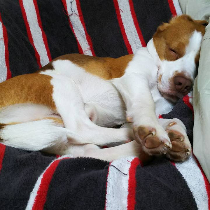 8af9f0e8 1b44 4a66 b5c2 75e7a5c461e5 1520433816269