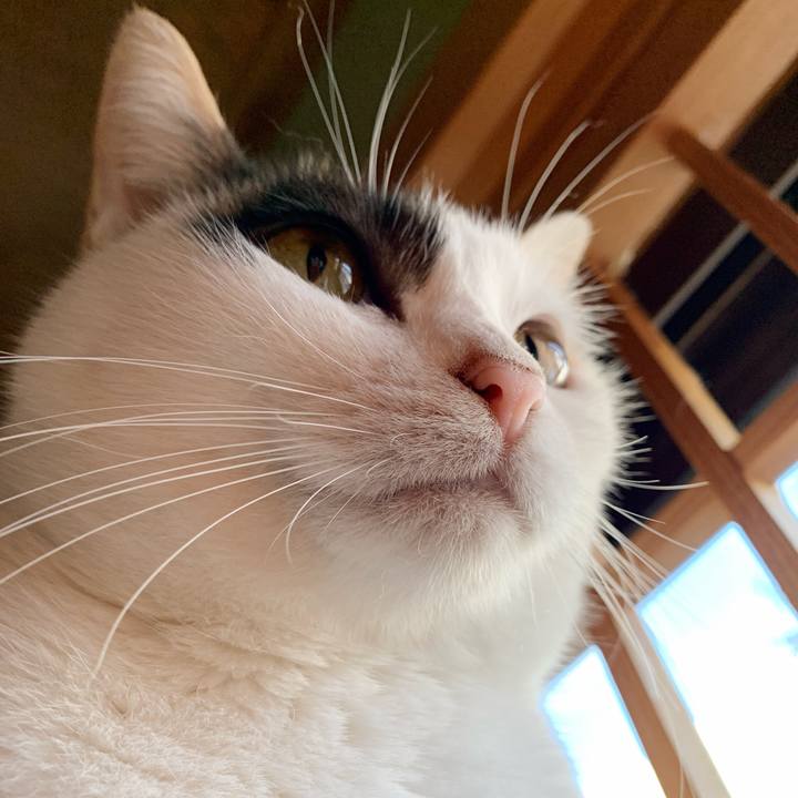 8afa1542 6bd9 496b 940b 0e4944fd6b75 1542072740095