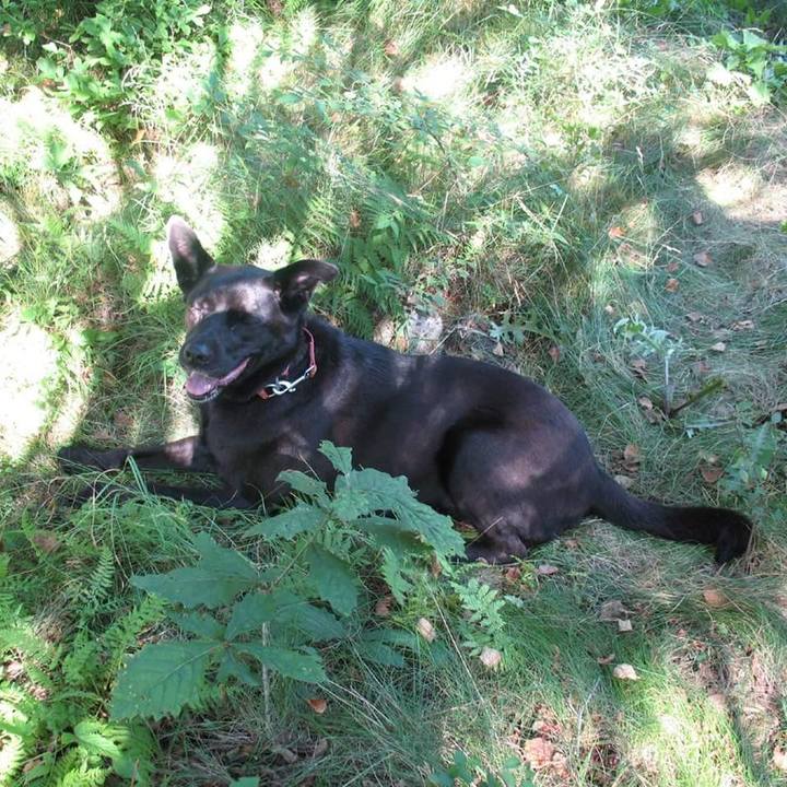 8afa4476 90e2 444e bf0f f91e2e6954af 1536913502109