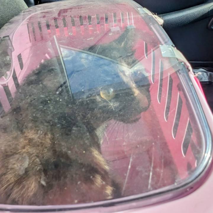 8afa5215 fa88 4416 8bb6 4dec933917b3 1771380794145