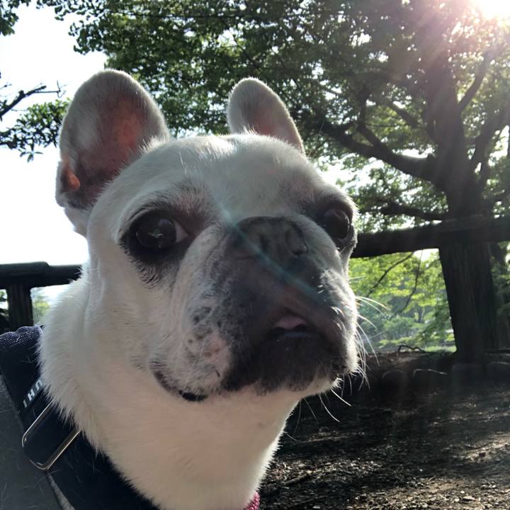 8afa549a 0d18 4c36 81f9 ad67dbc33de2 1620433923133