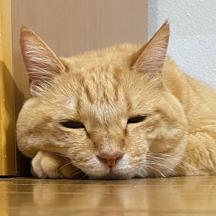 8afa7ec3 3fd5 4961 9b20 6702f4196d4c 1694342631381