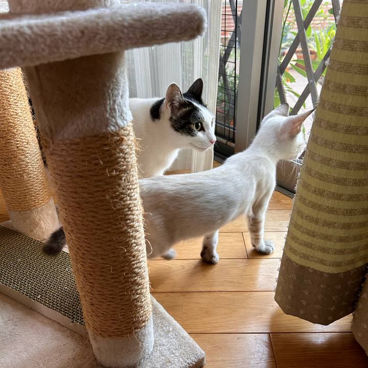 8afa7f56 553f 4dcb 9706 69d5183bf3ac 1723326210138