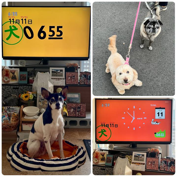 8afaa732 84a3 4e9c b5fc 9318dbada956 1668118327499