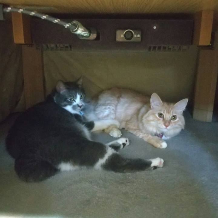 8afb5ee2 0769 4dad ac48 f313c9f29e13 1637738324993