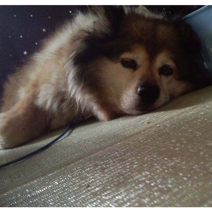 8afb70cc 773d 4145 8ba4 a4ca58c4d5ad 1667224848554