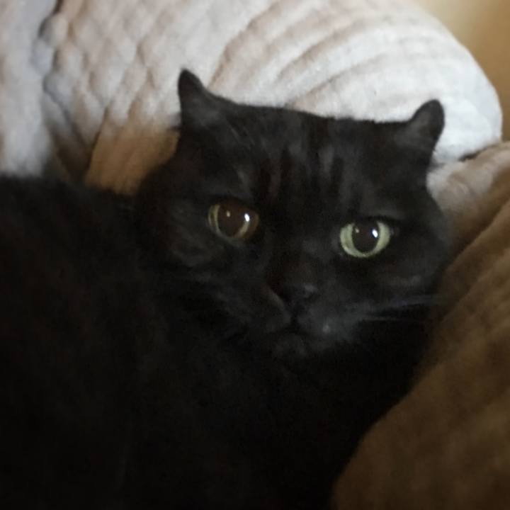 8afb7715 18f5 4e3a b8ae 486c2e37548d 1545191579461