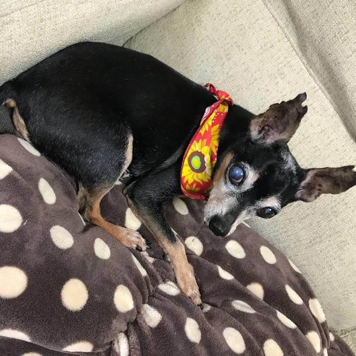 8afb830a f381 48a0 bf91 e9c60d1b44f2 1566692554210