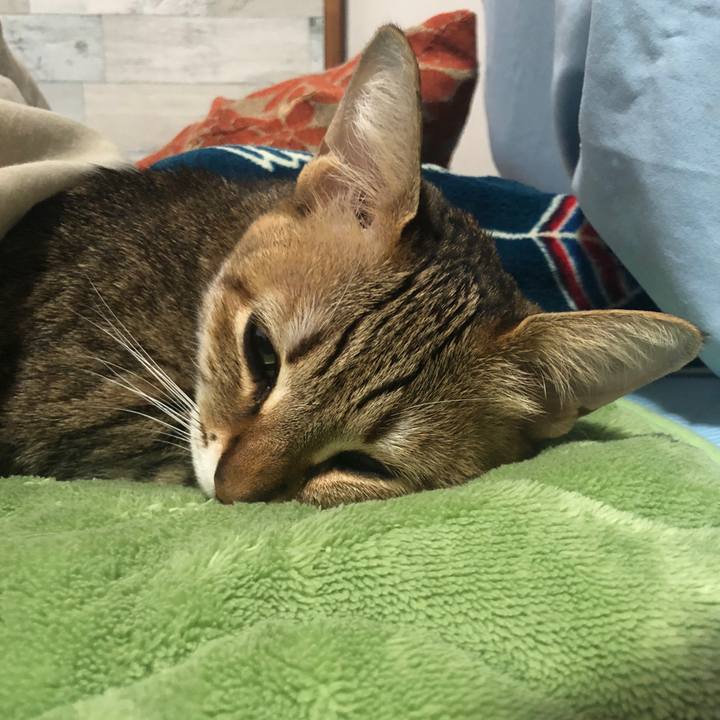 8afb8bcd 981b 4a5b 958d 0d9d276730e8 1642899716019