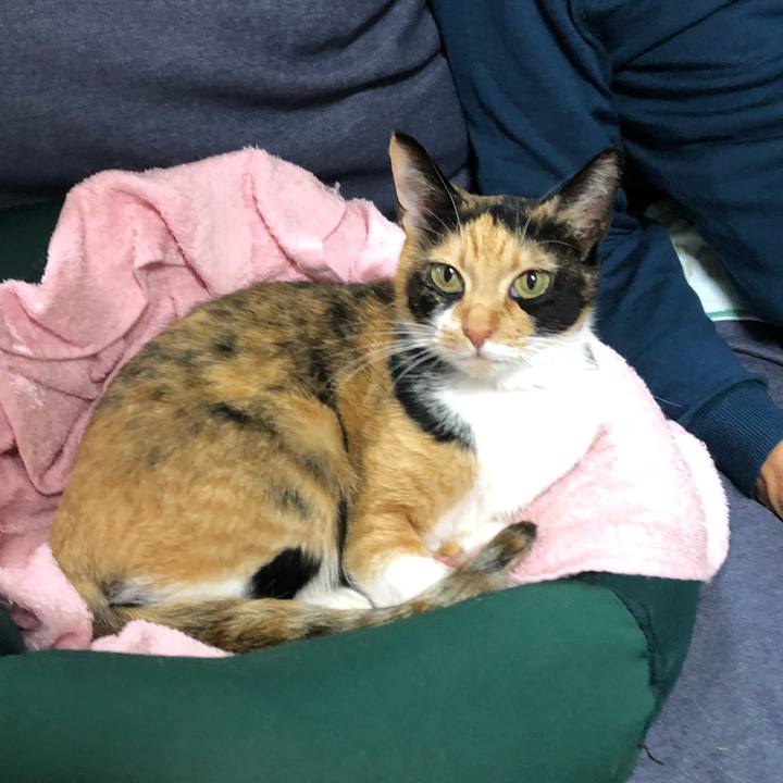 8afbf042 9886 4c05 b090 811c1529c5e7 1541422199010