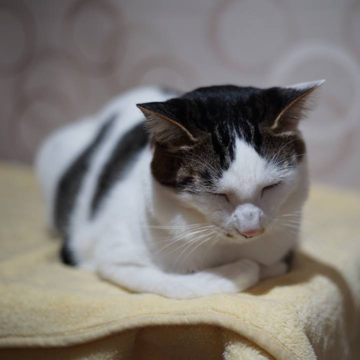 8afc5a43 1460 4185 9f99 5f8bfa560229 1516592998095