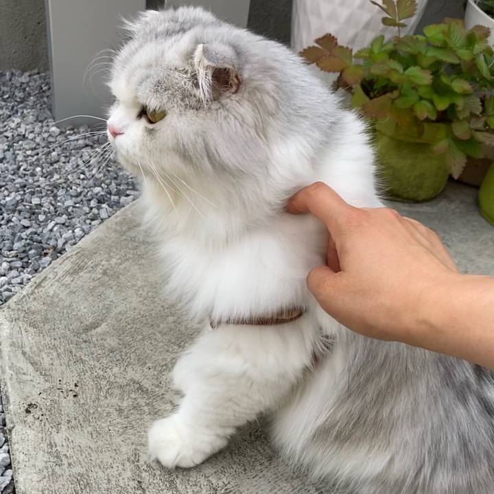 8afc8c9a 2199 403f a87f d44d64ec0219 1656503702018