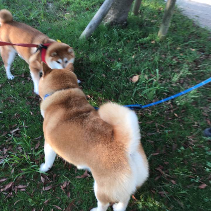 8afc9112 2c94 4e3c a756 cf5b13128e5e 1627162162913