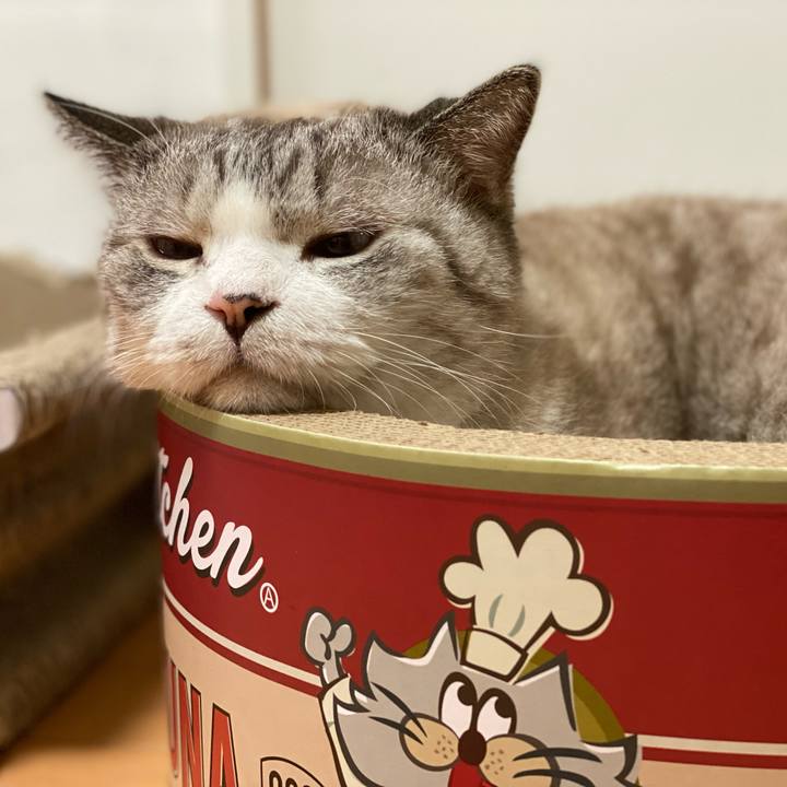 8afc944a d848 440a 9a55 e790092402ef 1635208976548