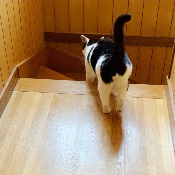 8afcdc7f c433 42b8 854a 57cdd4332e4c 1552269763779