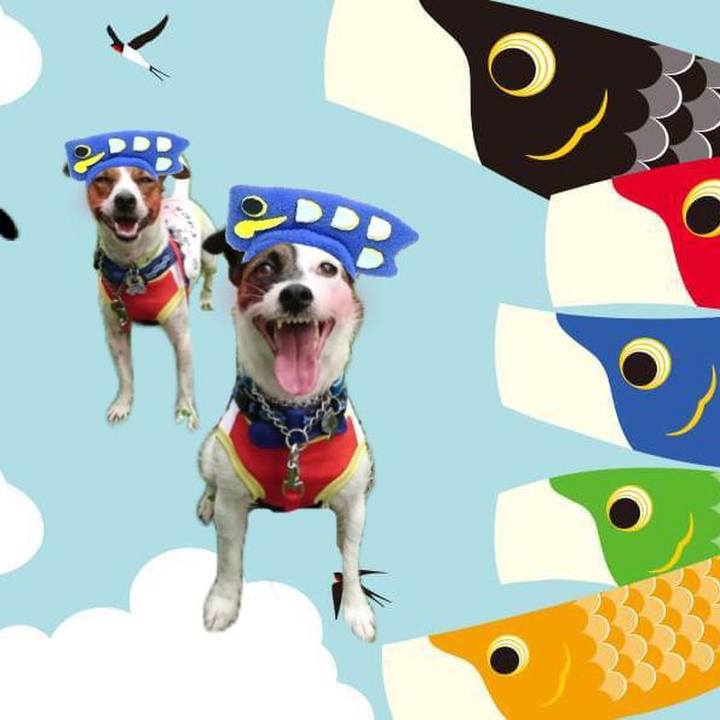 8afceb63 ceef 4cc7 ad07 fb9e66d53671 1620222305272