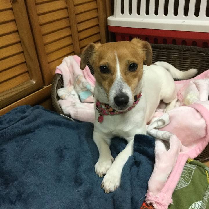 8afd3501 e6b4 4d6f b524 9204e1f3f694 1525767752031