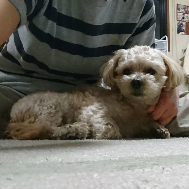 8afd53f7 2ce6 40bb 9aa5 642b845b5140 1558099097641