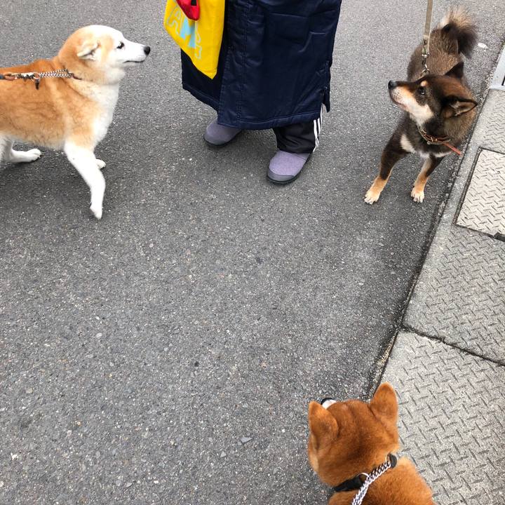 8afd5b34 fa14 4c3c bdc5 494118bef5e1 1546747804814