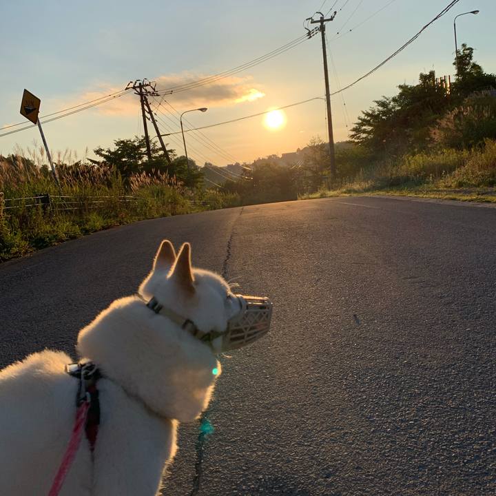 8afd87b2 b46b 4beb 87c6 91854287660a 1598131124664