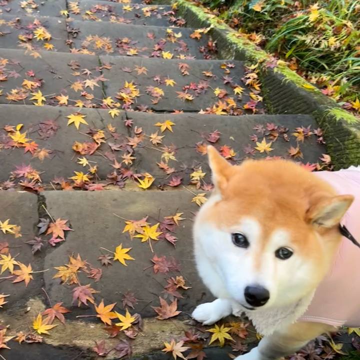 8afd8ec2 c14f 4ff4 974b 15608690c873 1669557091267