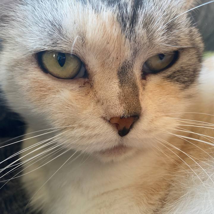 8afda807 9c9b 4dfd a932 9663f8bd88f3 1635401102458