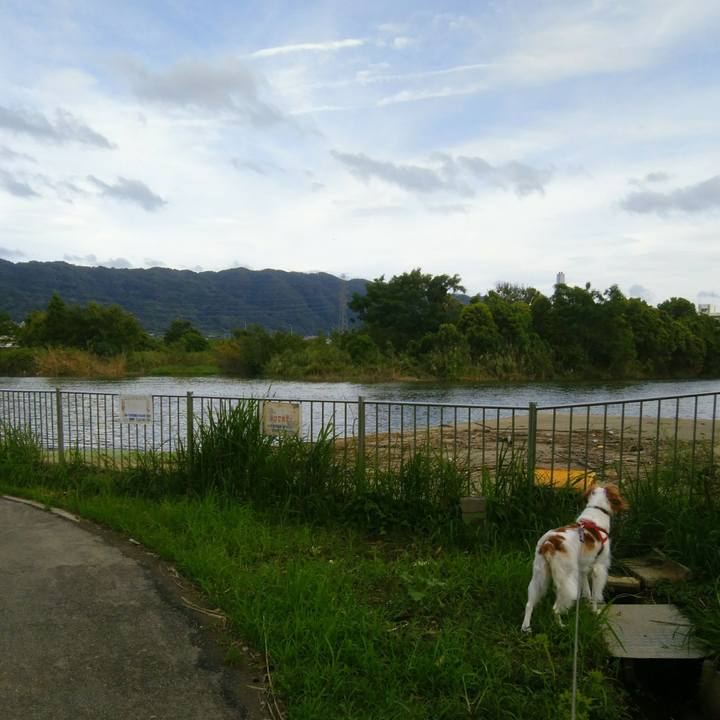 8afdbb3f 9fee 490c 9c2e ad4cf3d2f303 1536319824904