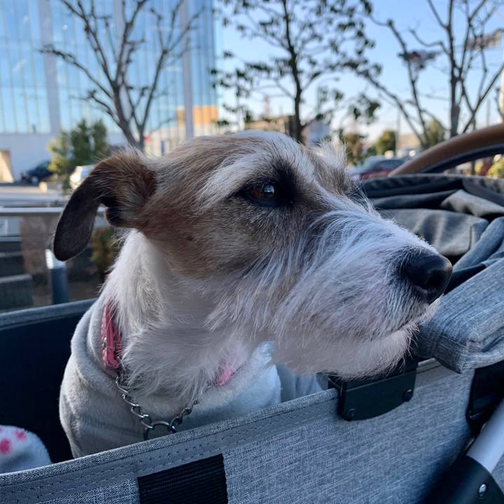 8afde39c 7796 4c25 8b83 f183736d8e64 1614429281987