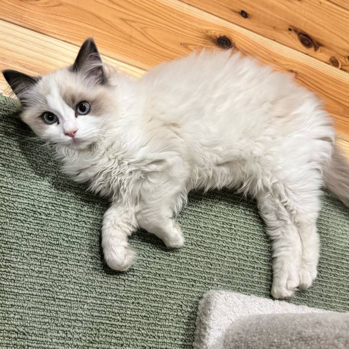 8afde5b8 02b2 444a be2a 0d51b46b7bec 1773841462371