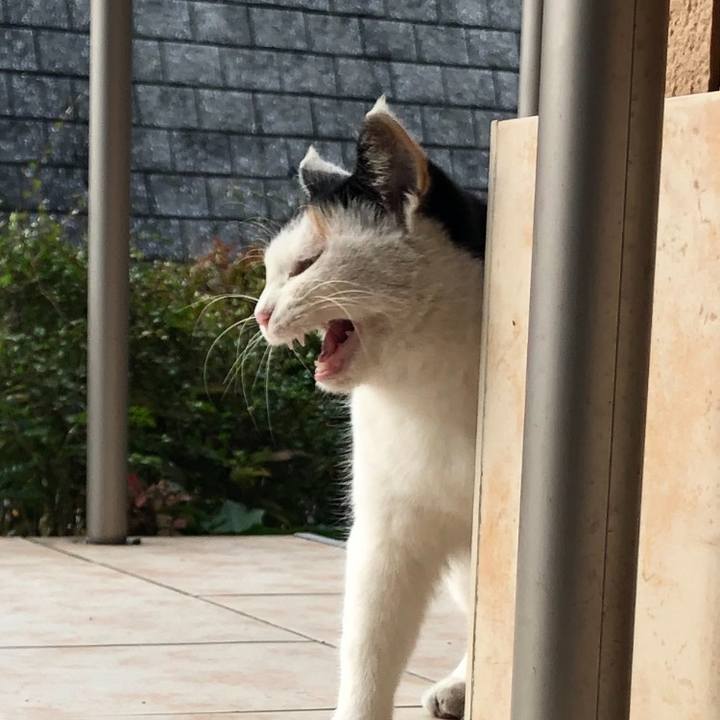 8afe2d55 1fd5 42e2 bc71 113c136d8fe9 1604655277836